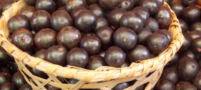 Açaí