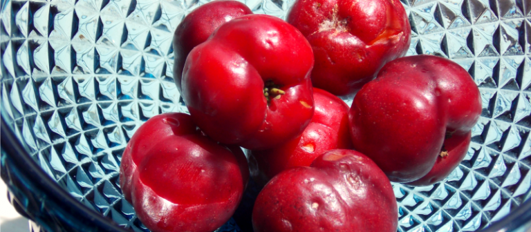 acerola