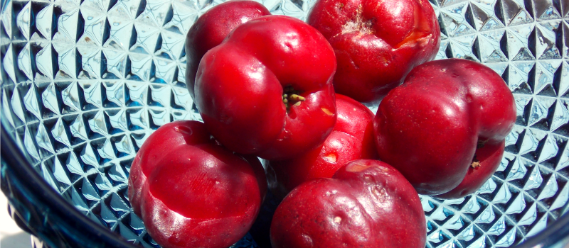 acerola