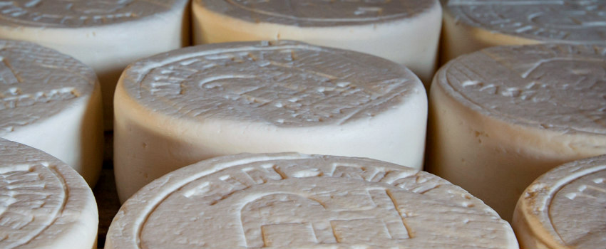 Queijo de Araxá_Crédito Mayra Galha Queijo de Araxá_Crédito Mayra Galha