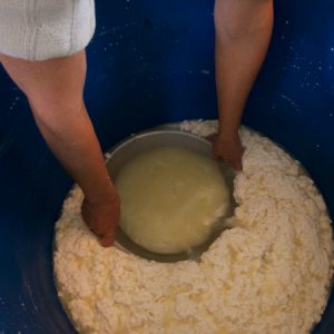 Mexida a mistura, o soro começa a se separar da parte sólida do leite coalhado. (Foto: Mayra Galha)