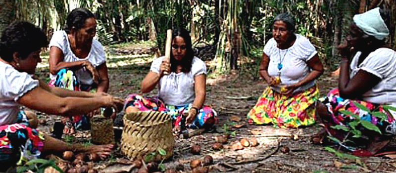 Memória de Primavera em COQUINHOS