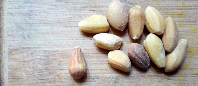 castanha de sapucaia