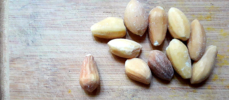 castanha de sapucaia